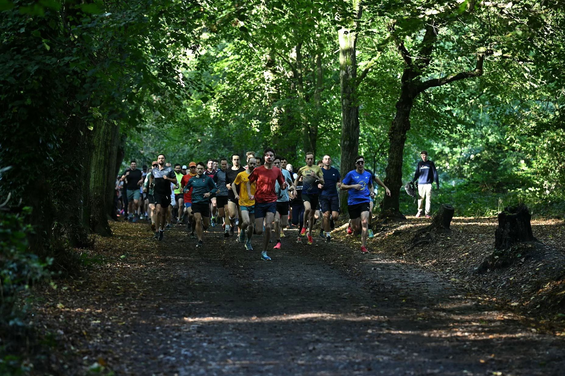 A busy parkrun